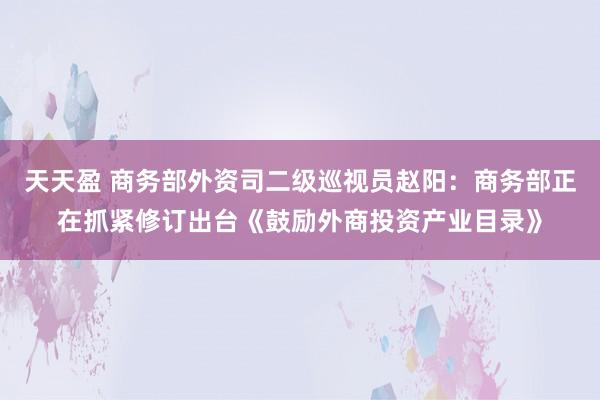 天天盈 商务部外资司二级巡视员赵阳：商务部正在抓紧修订出台《鼓励外商投资产业目录》